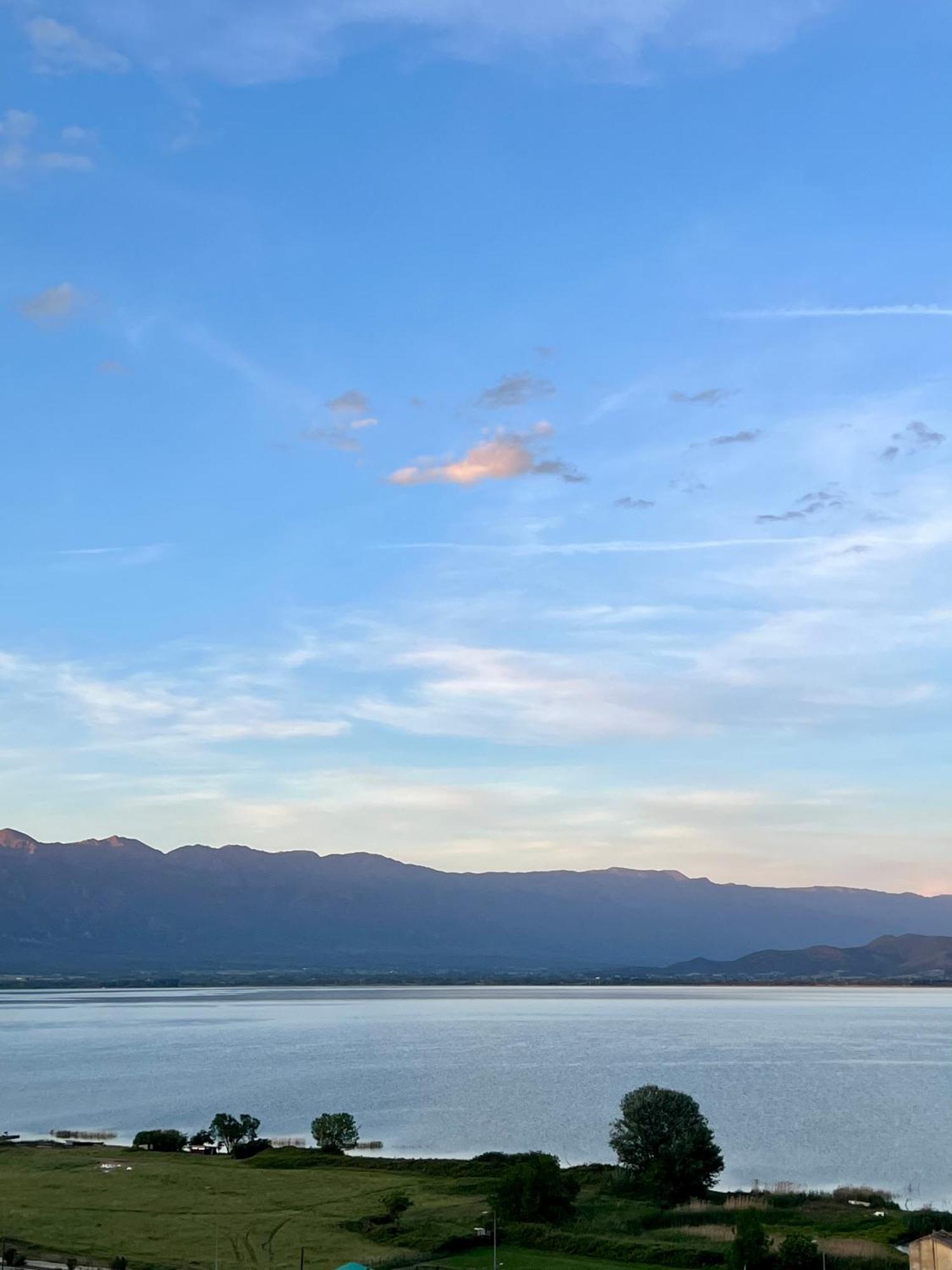 Lakeview Dimi